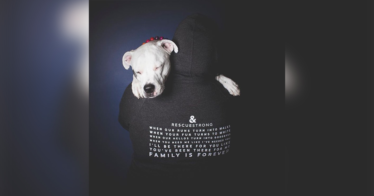 18 Gifts That Help Dogs In Need