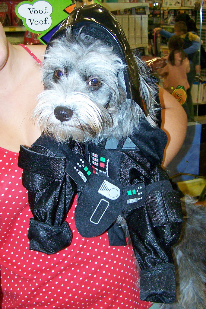 the-top-star-wars-inspired-dog-names