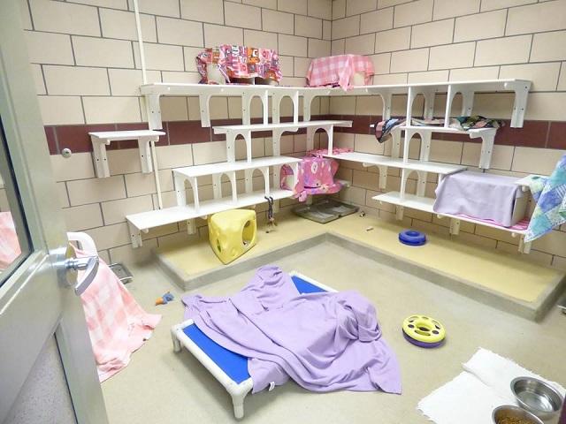 Source: Fort Wayne Animal Care & Control - Facebook