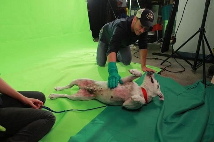 Source: AWLA via Scott Dawkins