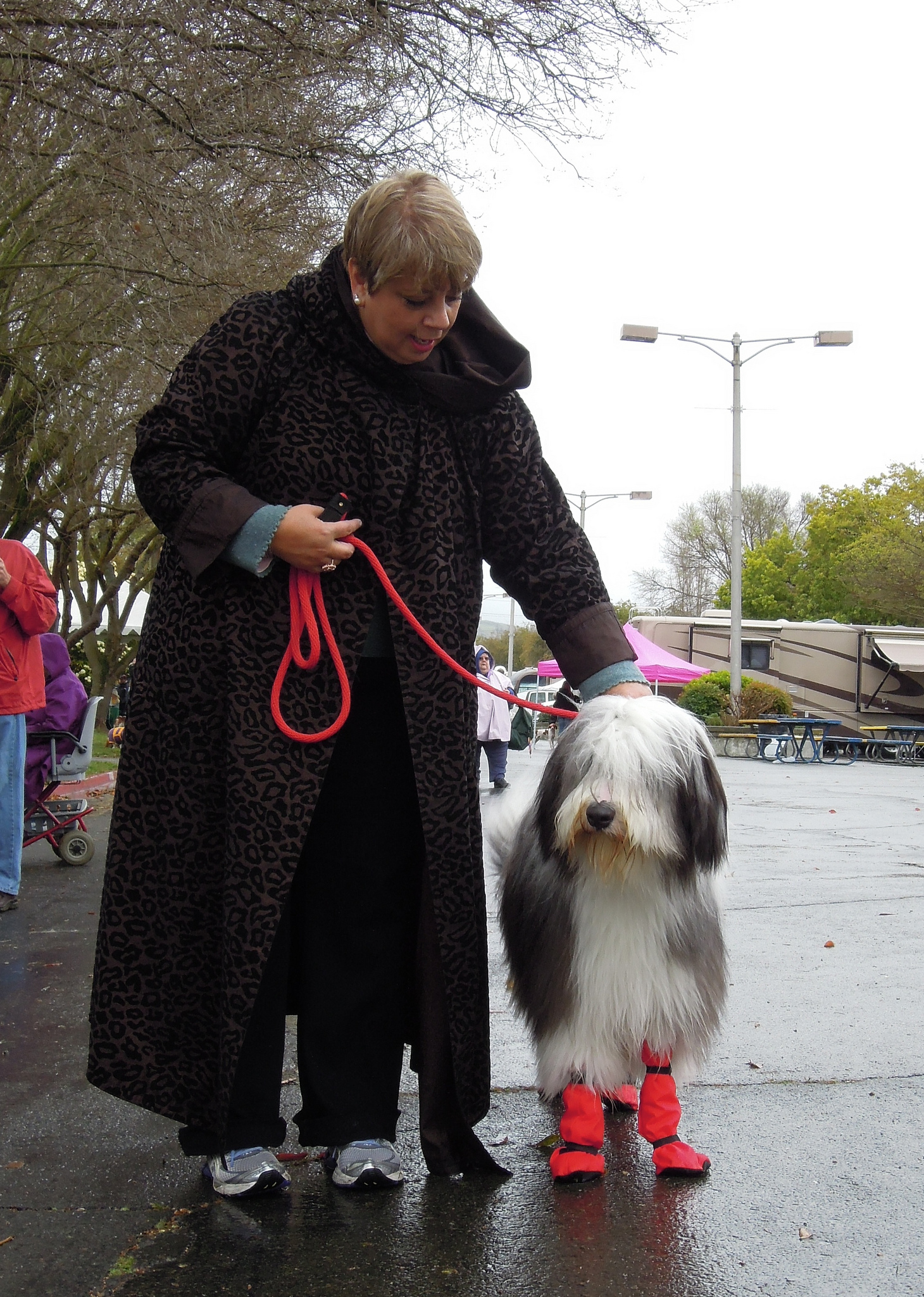 7 Tips To Help Your Senior Dog Through The Winter