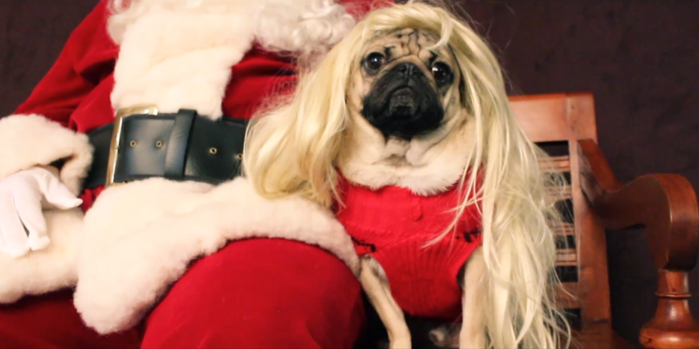 Image source: Doug The Pug / YouTube