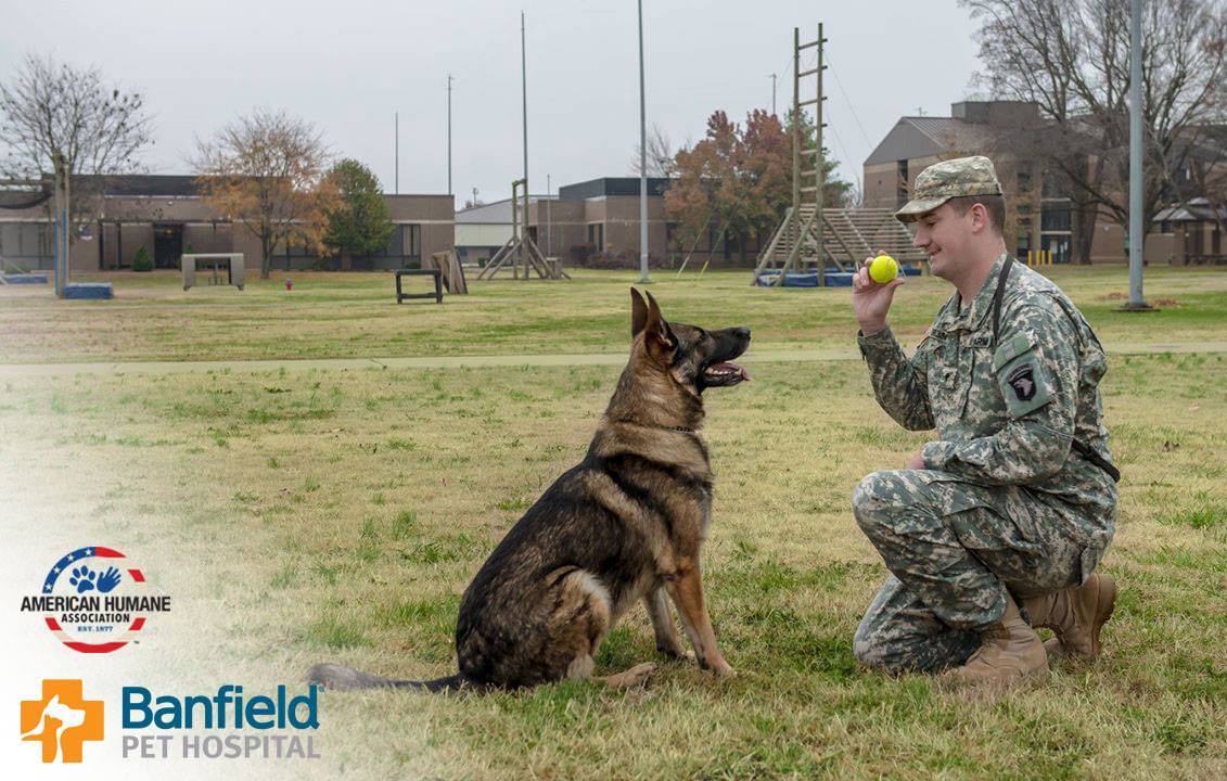 Breaking News – Vet Provides 14 Military War Dogs With A New Beginnings For The New Year