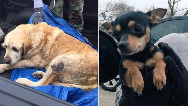 Source: Astrid Martinez - Twitter