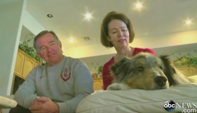 Dog Is Finally Reunited With Rightful Owners After Missing For 6 Years!