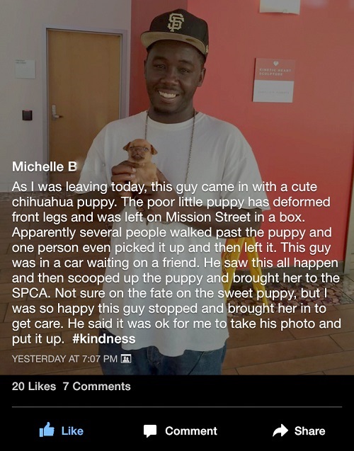 Source: San Francisco SPCA