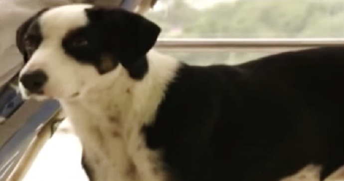 Source: c5n - YouTube