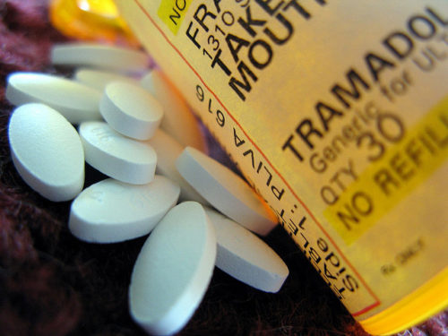Breaking News: Alternative to NSAIDs For Animal Pain Relief Is Hitting ...