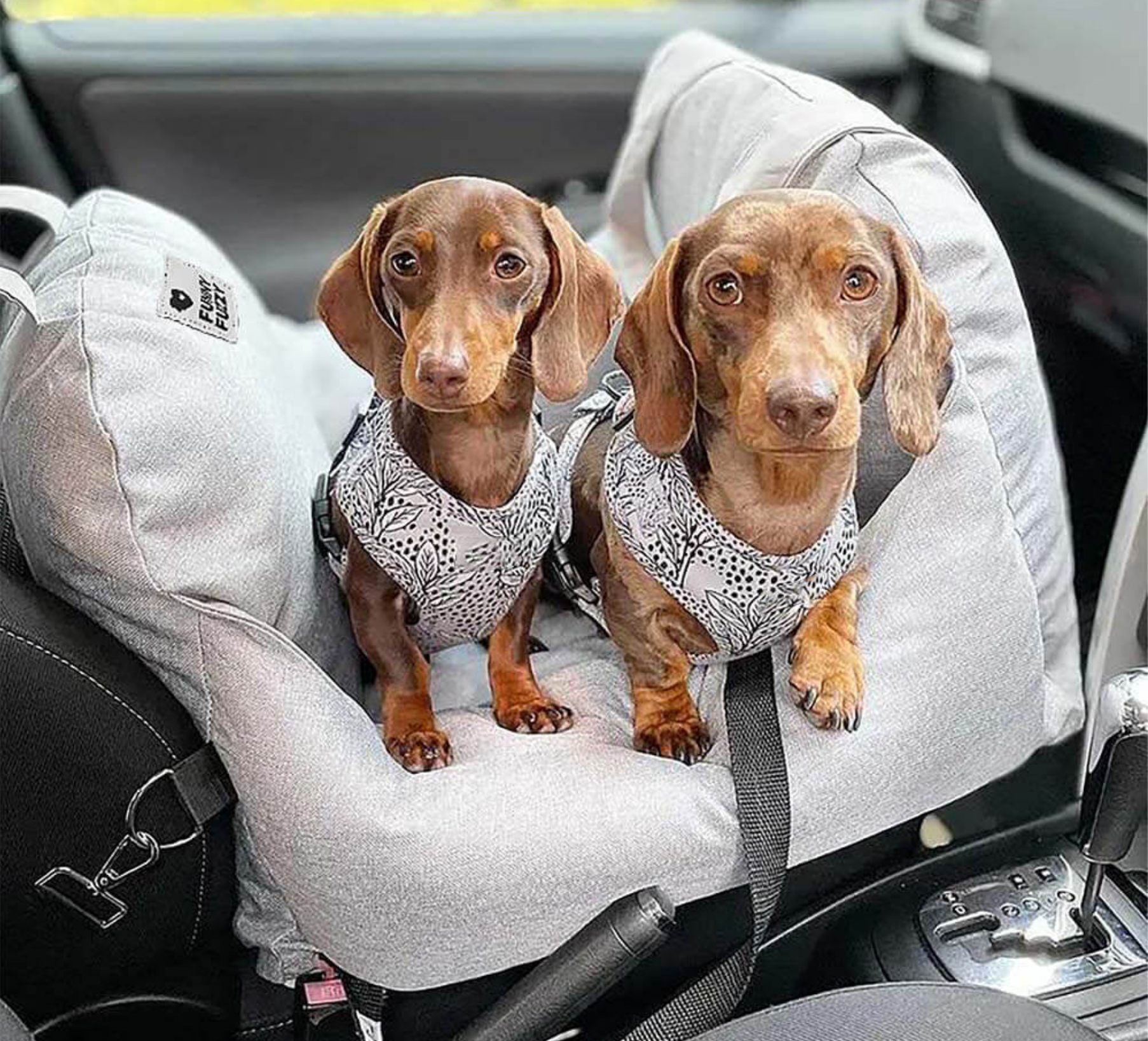 Funny Fuzzy Dog Car Seat Bed - First Class