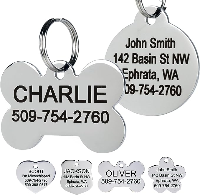 GoTags Stainless Steel Personalized Pet ID Tags