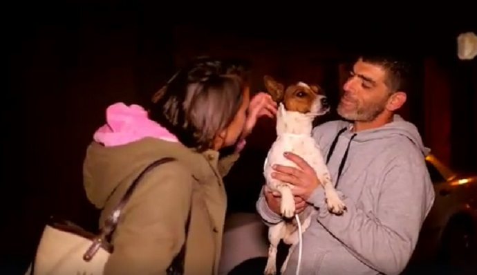 Source: Dog Tales Rescue and Sanctuary