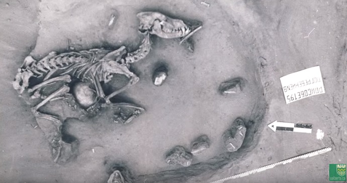 Source: University of Alberta - YouTube