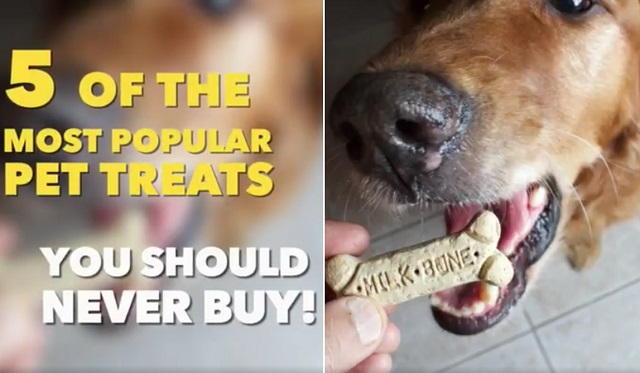 can milk bones cause cancer in dogs