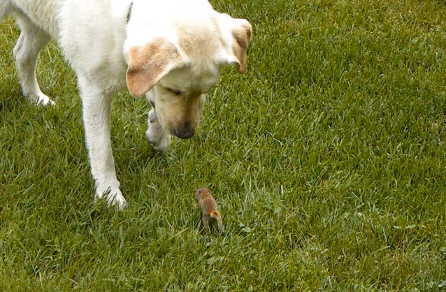 Source: Abbey Harrison - YouTube