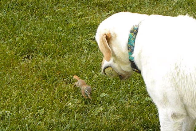 Source: Abbey Harrison - YouTube