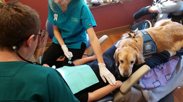 Dentist Office Hires A Sweet Dog To Calm Their Patients & Help Them Relax