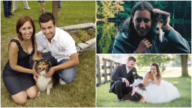 Woman Shares A Lifetime Of Photos To Say Goodbye To Her Senior Dog