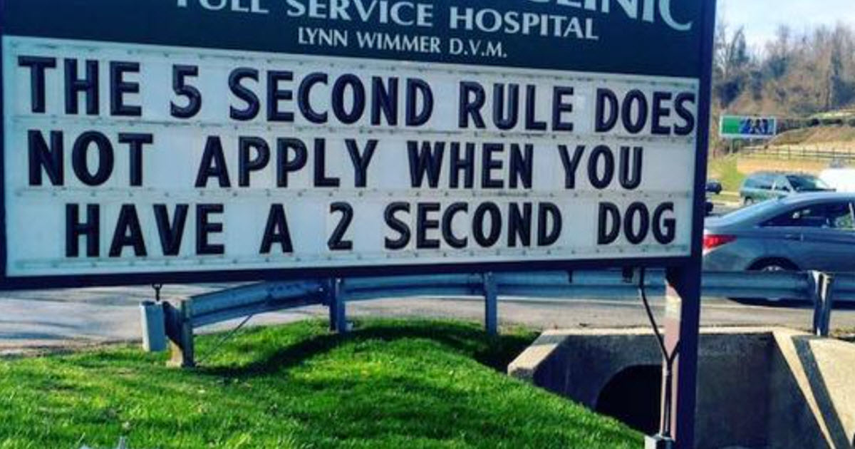Think Vets Don’t Have A Sense Of Humor? Check-Out These 13 Signs thumbnail