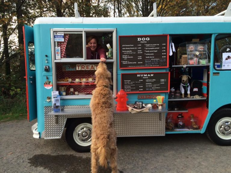 Take A Peek At Seattle's First Dog Food Truck!