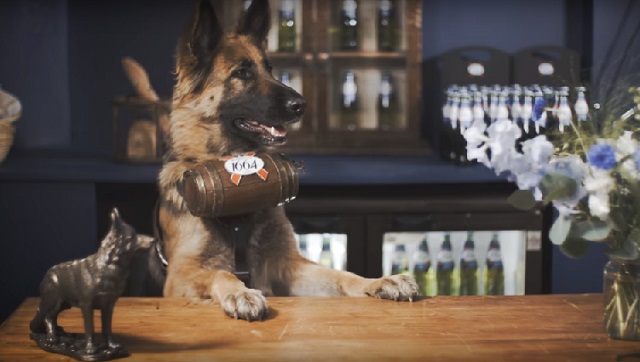 There's A Bar In London Where All The Members Of The Staff Are Dogs!