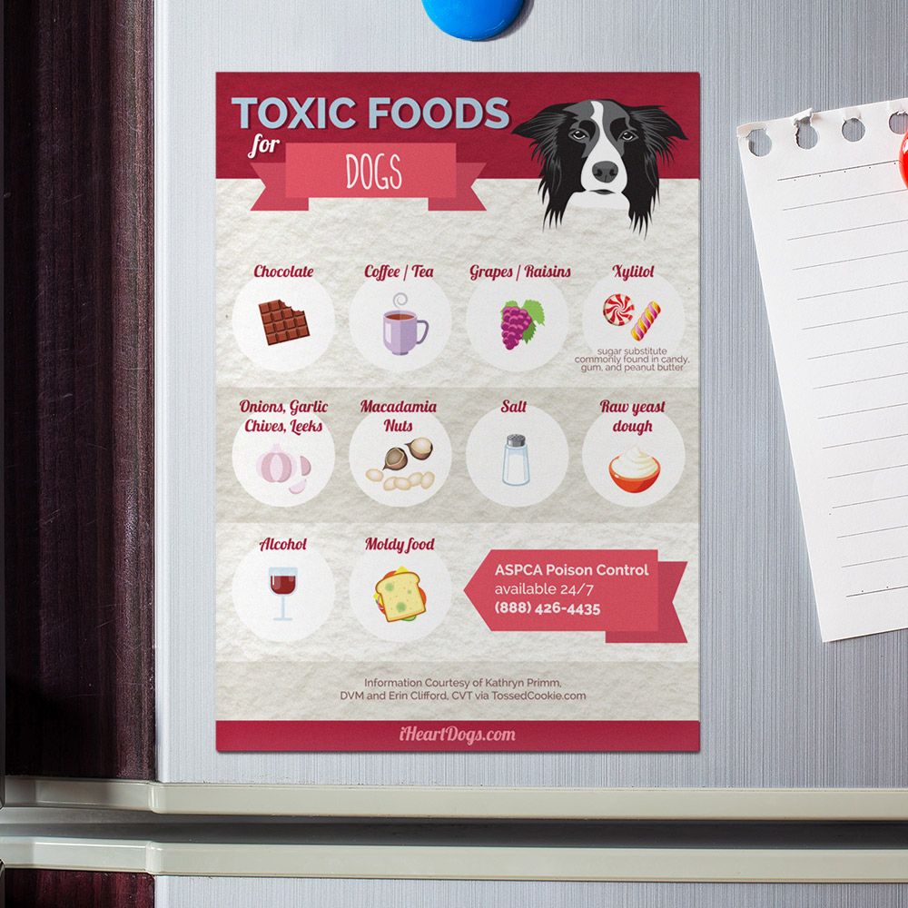 Toxic Dog Foods Refrigerator Magnet