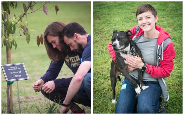 San Diego Chargers Host Dog Draft For Shelter Pups Needing A Forever  Team