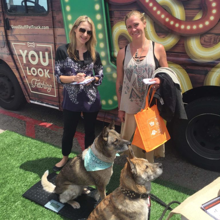 This Treat Truck Is Like An Ice Cream Truck For Dogs...And So Much More!