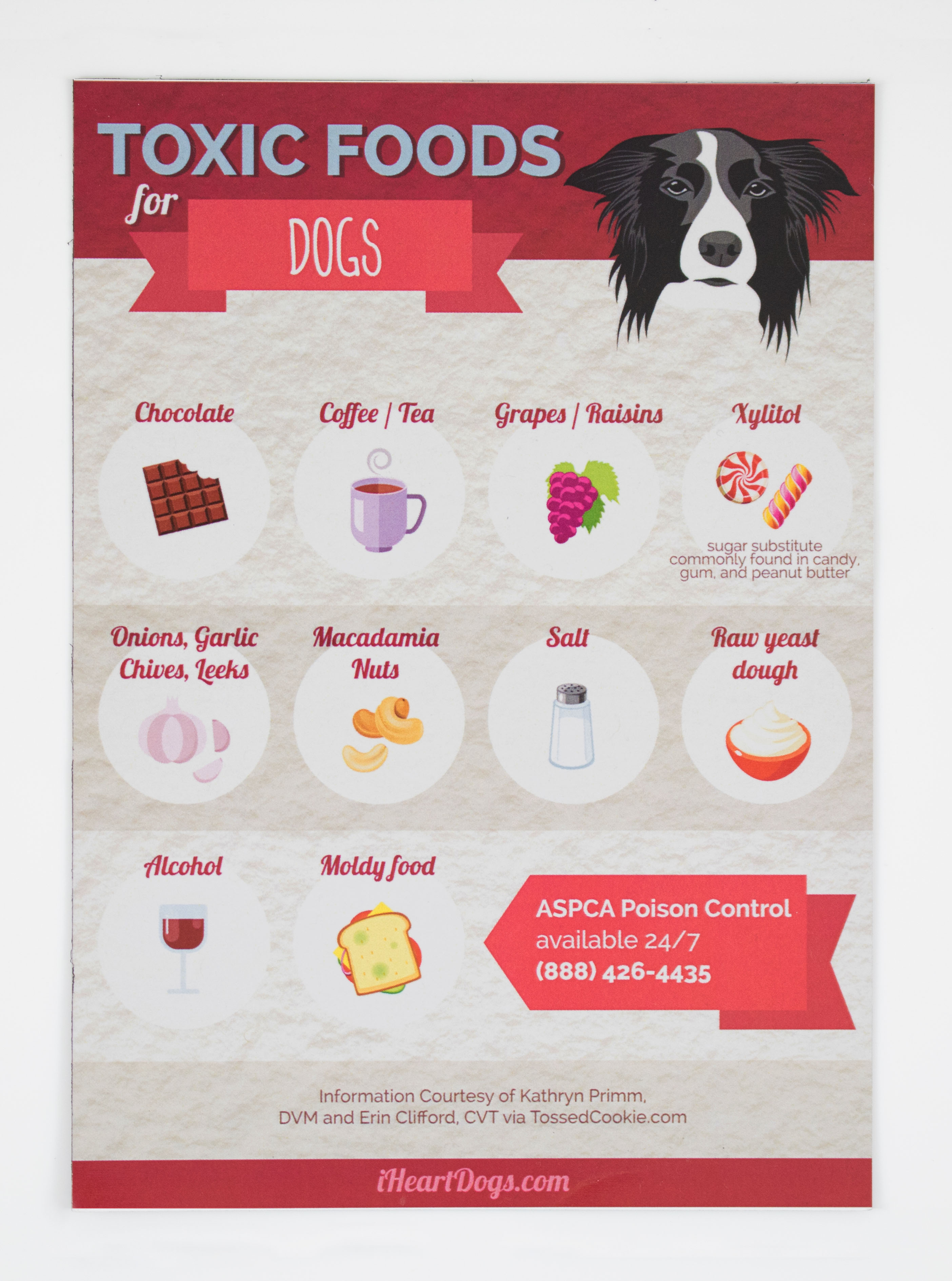 Toxic Dog Foods Refrigerator Magnet \u2013 iHeartDogs.com