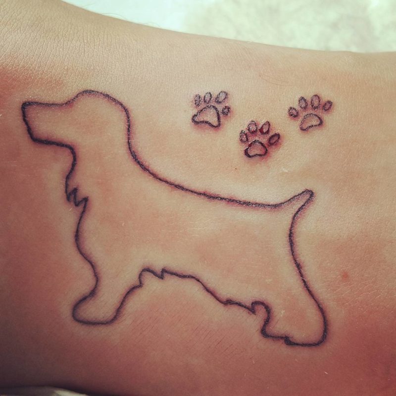 Bunkerz inks  Dog Portrait Tattoo  Dogs are considered the guides on the  road of life a dog tattoo can signify your dedication to living in the  present moment and practising