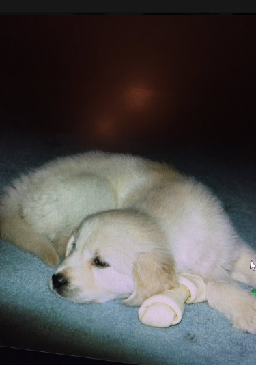 Source: Jack Richards - Twitter