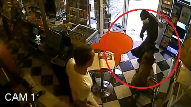 Dog Risks His Life And Attacks An Armed Masked Man Robbing His Owner’s Shop