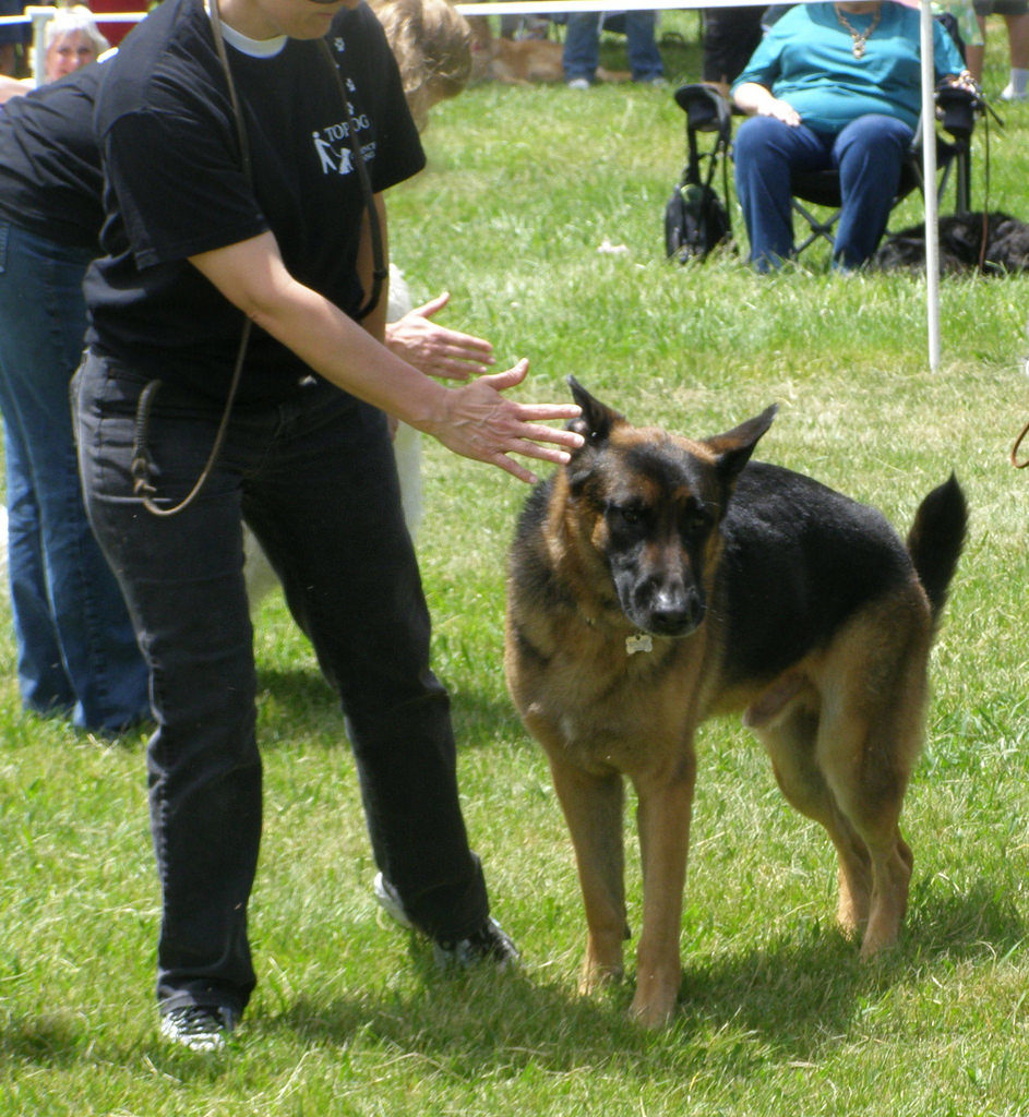 Image Source: Confligmanager via Flickr 