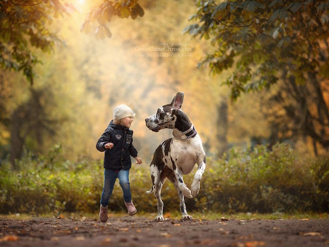 “Little Kids And Their Big Dogs” Shows The Magical Bond Between Kids & Canines