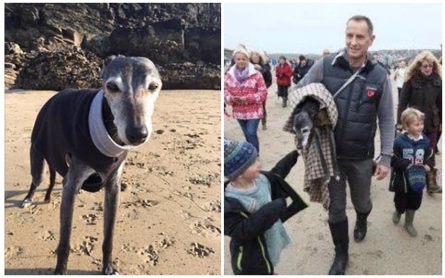 UPDATE: Hundreds Answer Social Media Invite To Join On Walnut The Dog’s Final Walk