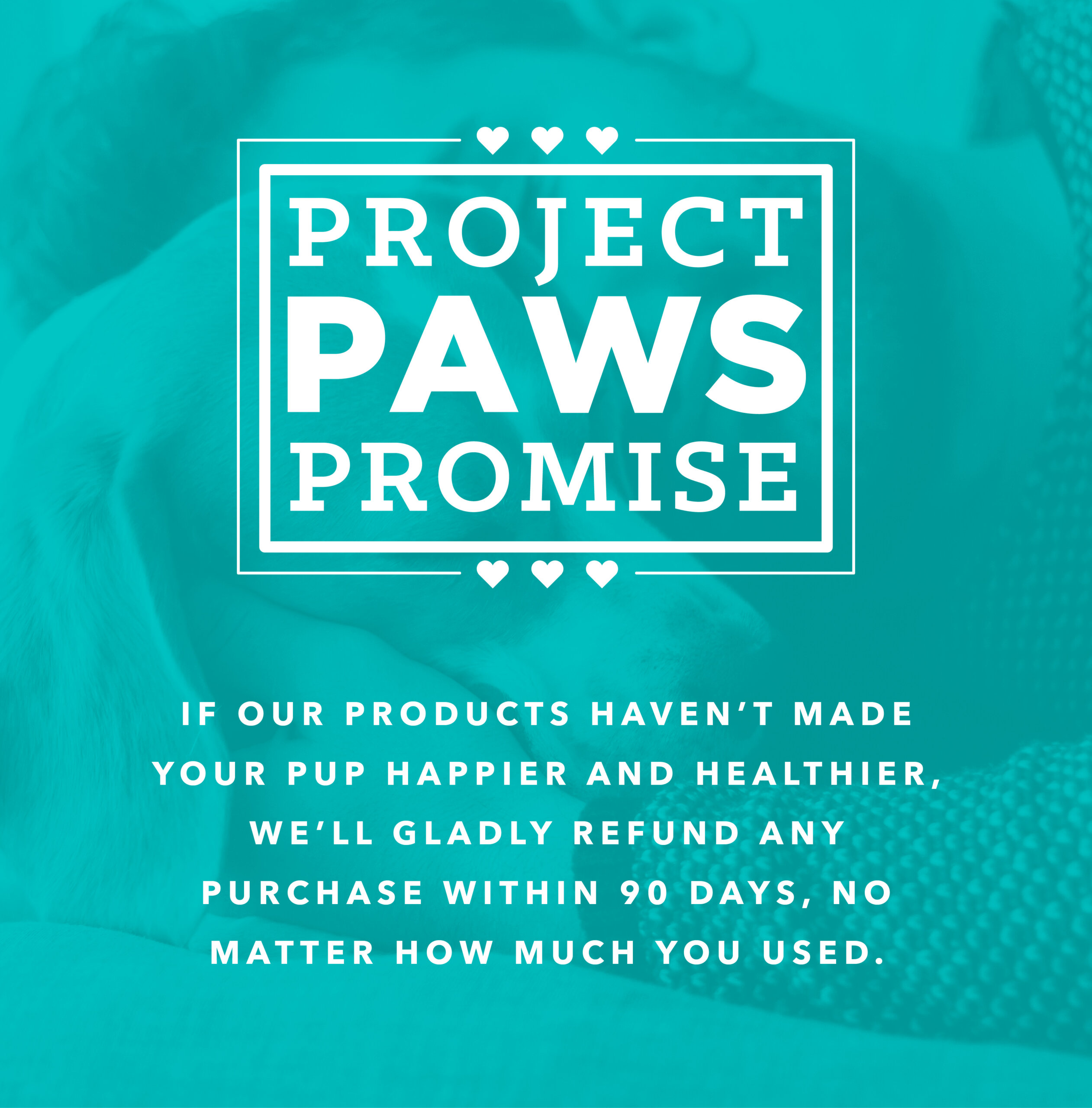 project paws joint supplements