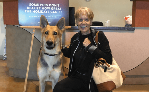 Couple Adopts The Last Dog Left At The Shelter, A Disabled German Shepherd