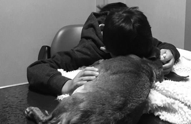 Heartbreaking Photo Captures A Boy's Tender Final Moments With His Dog