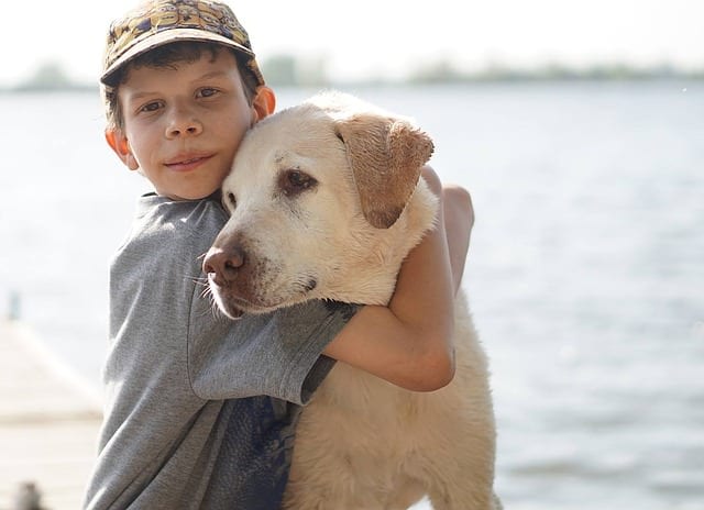 8 Best Dog Breeds For Families With Children
