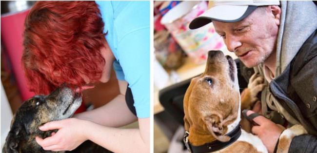 Bác sĩ thú y trẻ tuổi này điều hành một phòng khám cung cấp dịch vụ chăm sóc miễn phí cho những con chó vô gia cư