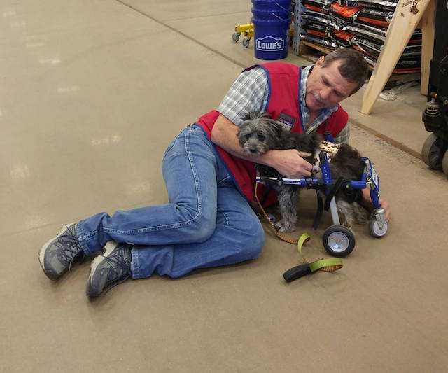 Special Needs Dog Befriends Lowe’s Employee Who Helps Him With His “New Wheels”