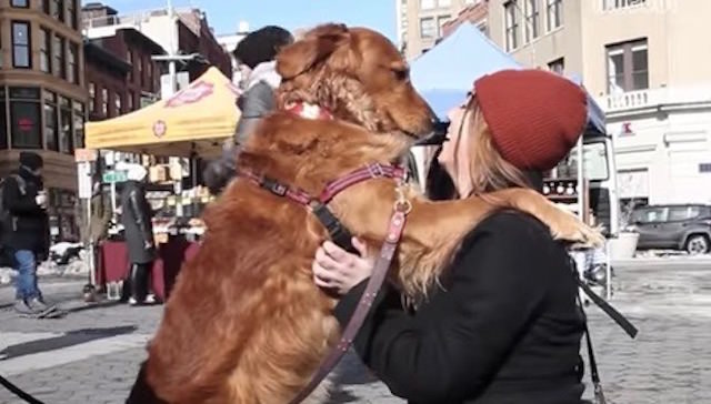 New York Dog Stands On The Street Corner To Give Hugs To Strangers