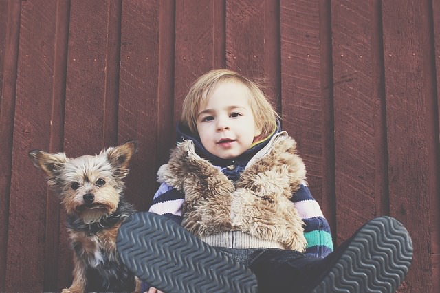 The 10 Best Small Dogs For Kids