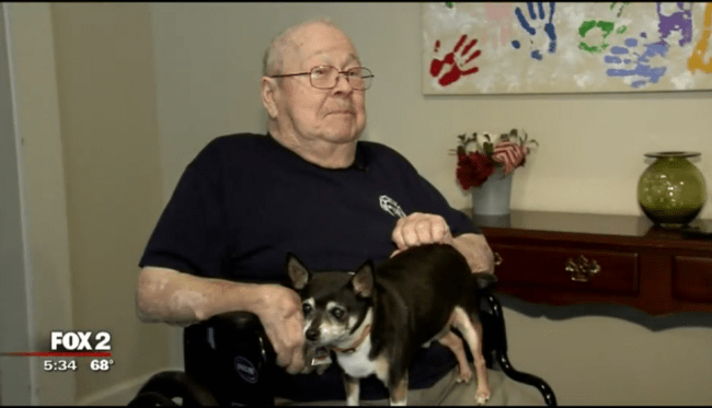 14-Year-Old Dog & His 81-Year-Old Human Save Woman’s Life