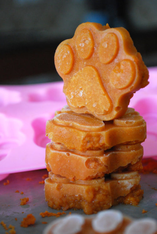 Frozen Dog Food Toppers A Great Way To Bump Up Your Pup’s Food Bowl