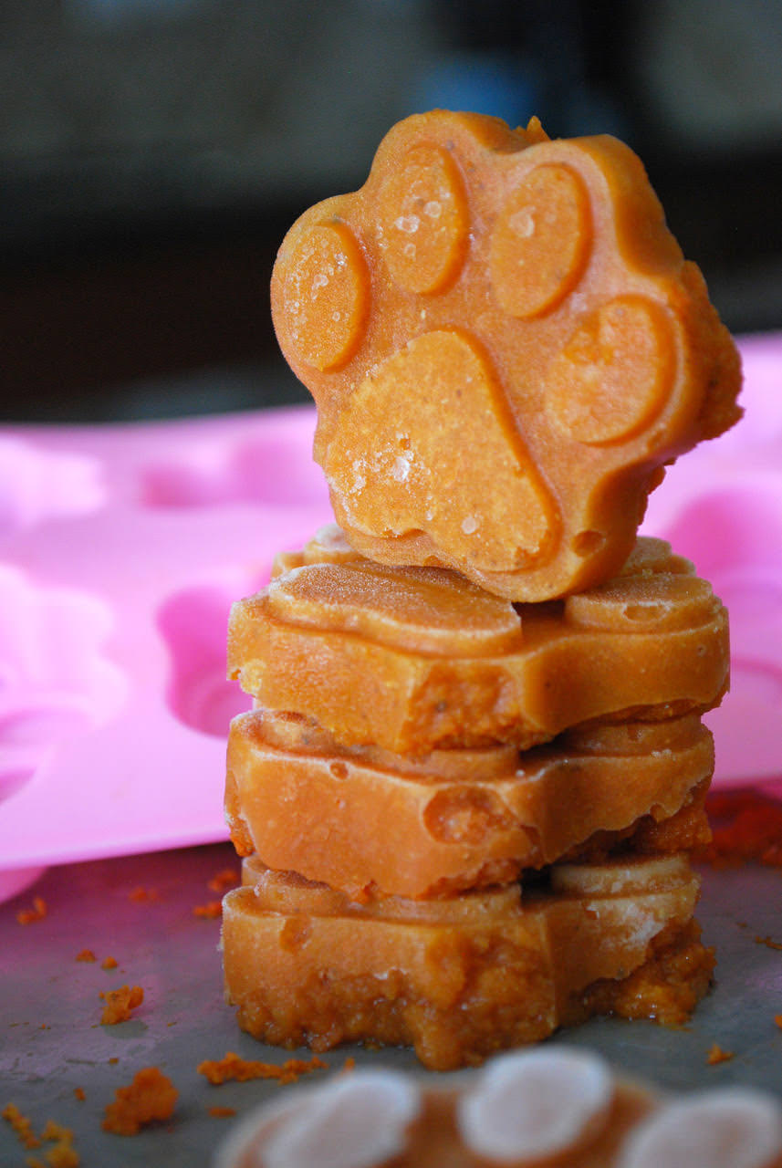 Frozen Dog Food Toppers A Great Way To Bump Up Your Pup’s Food Bowl