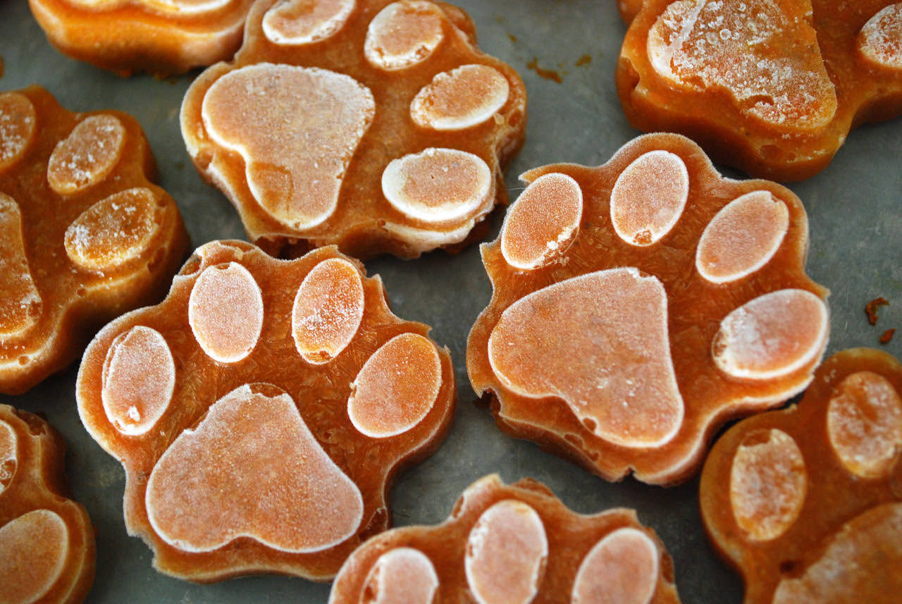 Frozen Dog Food Toppers A Great Way To Bump Up Your Pup’s Food Bowl