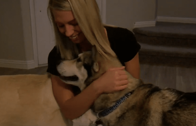 Police “Sting Operation” Reunites Woman With Her Dog