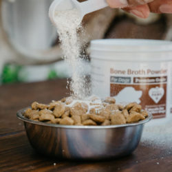 How Bone Broth Helps Dogs' Digestive Health