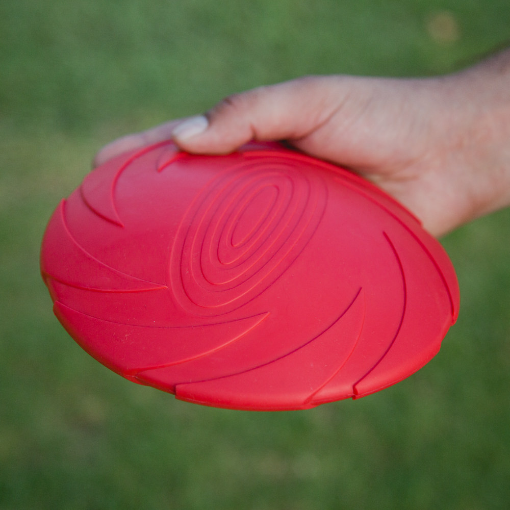 Flexible Flying Disc by Project Play™