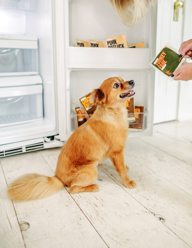 Dog getting Nom Nom from fridge